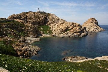 Fototapeta na wymiar Ile de la Pietra
