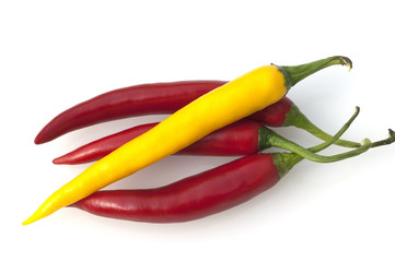 Chili, Capsicum; Annuum;