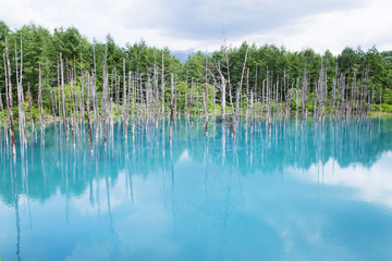青い池