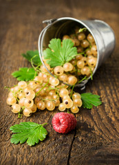 bucket with white currants © viktoriya89