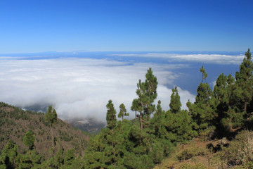 teneriffa