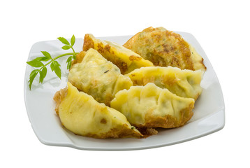 Japan dumplings - gyoza