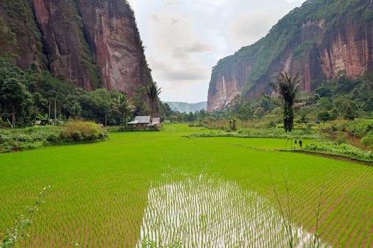 Harau Valley