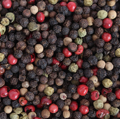 Pepper And Peppercorn