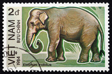 Postage stamp Vietnam 1984 Indian Elephant
