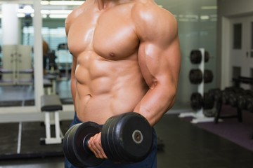 Fototapeta na wymiar Mid section of shirtless muscular man exercising with dumbbell