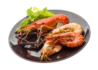 Giant Freshwater Prawn and king prawns