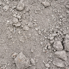 Dried mud soil fragment