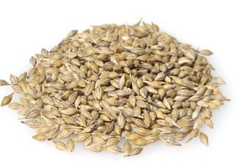 Gerstenkoerner; Gerste; Hordeum; vulgare;