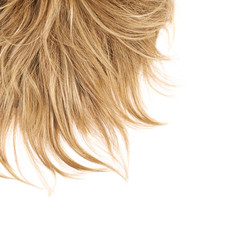 Hair fragment over the white