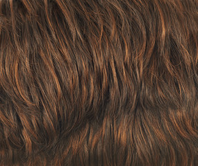 Hair fragment as a background composition