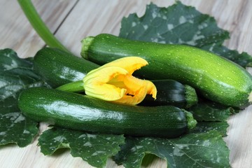Zucchini