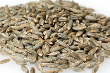 Roggenkoerner, Roggenkorn, Roggenaehre; Roggen; Roggenaehren; Se