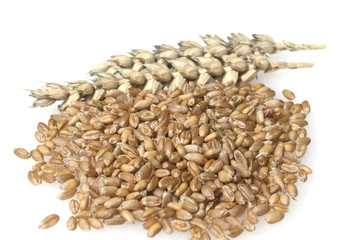 Weizenkoerner, Weizen, Triticum, aestivum,