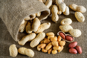 Peeled peanut on well peanuts