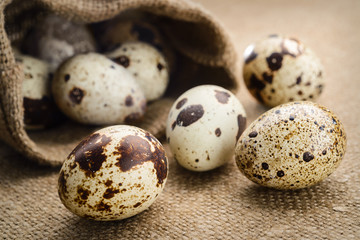 quail eggs on a fabric background