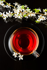 cup of tea and cherry branch