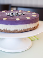 Raw blueberry vegan cake