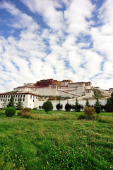potala palace ,tibet ,china 