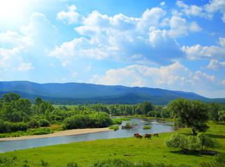 Fototapeta na wymiar summer landscape with river mountains and horses