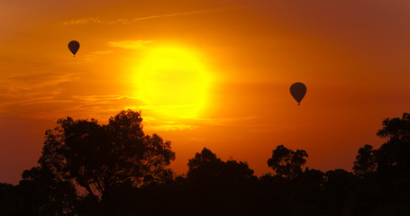 hot air balloon ride in africa - national park masai mara