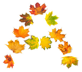 Naklejka na ściany i meble Letter A composed of autumn maple leafs