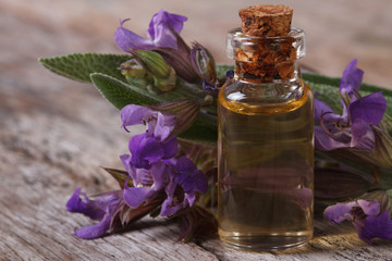 Obraz na płótnie Canvas flowering sage and fragrant oil horizontal