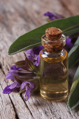 fragrant sage tincture in glass bottle vertical