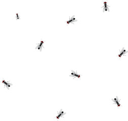 Fly insect sketch seamless