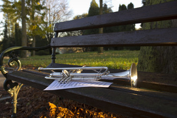 Trumpet on bench © veco