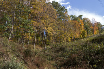 Obraz premium Autumn Countryside