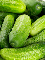 fresh cucumber background