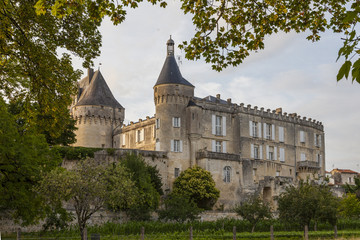 Fototapeta na wymiar Château de Jonzac