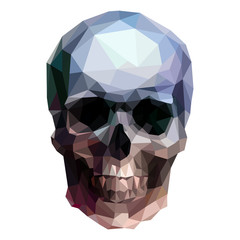 Skull - 68088298