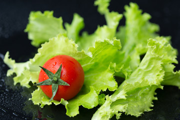 Cherry tomato and leaf salad