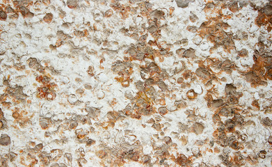 stone texture  background