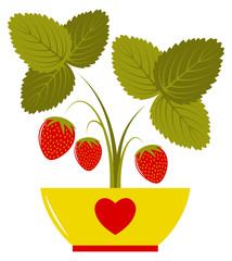 strawberry in bowl