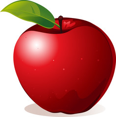 red apple - vector illustration
