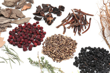 Fototapeta premium Traditional chinese herbal medicine ingredients, close-up