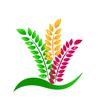 Leafs of fern ecology concept logo vector