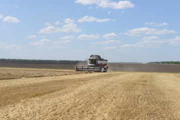 Combine harvesting wheat.