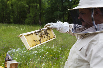 Beekeeper