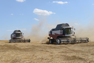 Combine harvesting wheat.