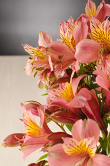 Bouquet of a beautiful alstroemeria flowers on wood