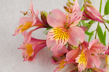 Bouquet of a beautiful alstroemeria flowers on wood