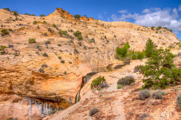 UT-Grand Staircase-Escalante-Uppwr Calf Creek Falls