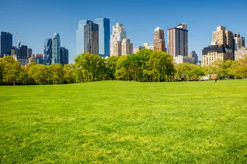 Foto auf Acrylglas Central Park Central Park, New York