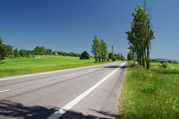 An empty road lined with trees in the rural landscape