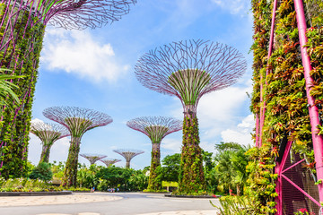 Garden by the bay