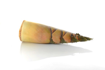 bamboo shoot isolated on white background
